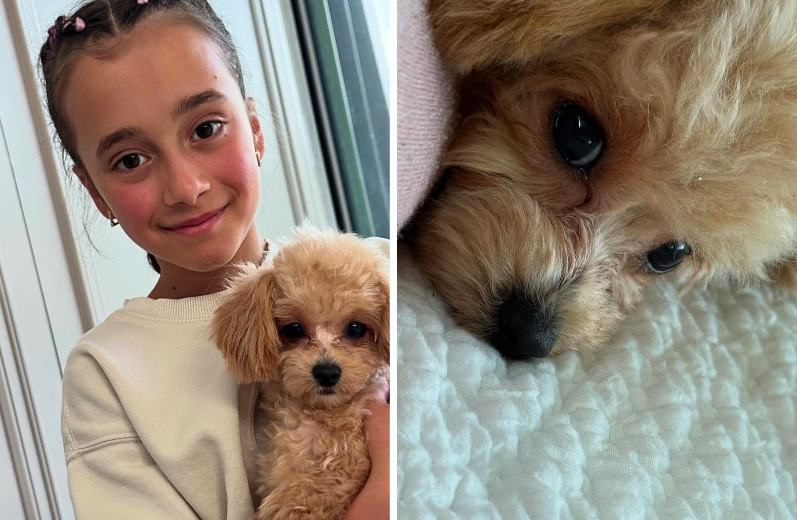 В семье Екатерины Кухар неожиданное пополнение: &quot;Я теперь мама в кубе&quot; (фото)